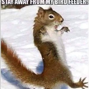 Meet your Posher, Devon